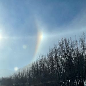 Meet your Posher, Jodi